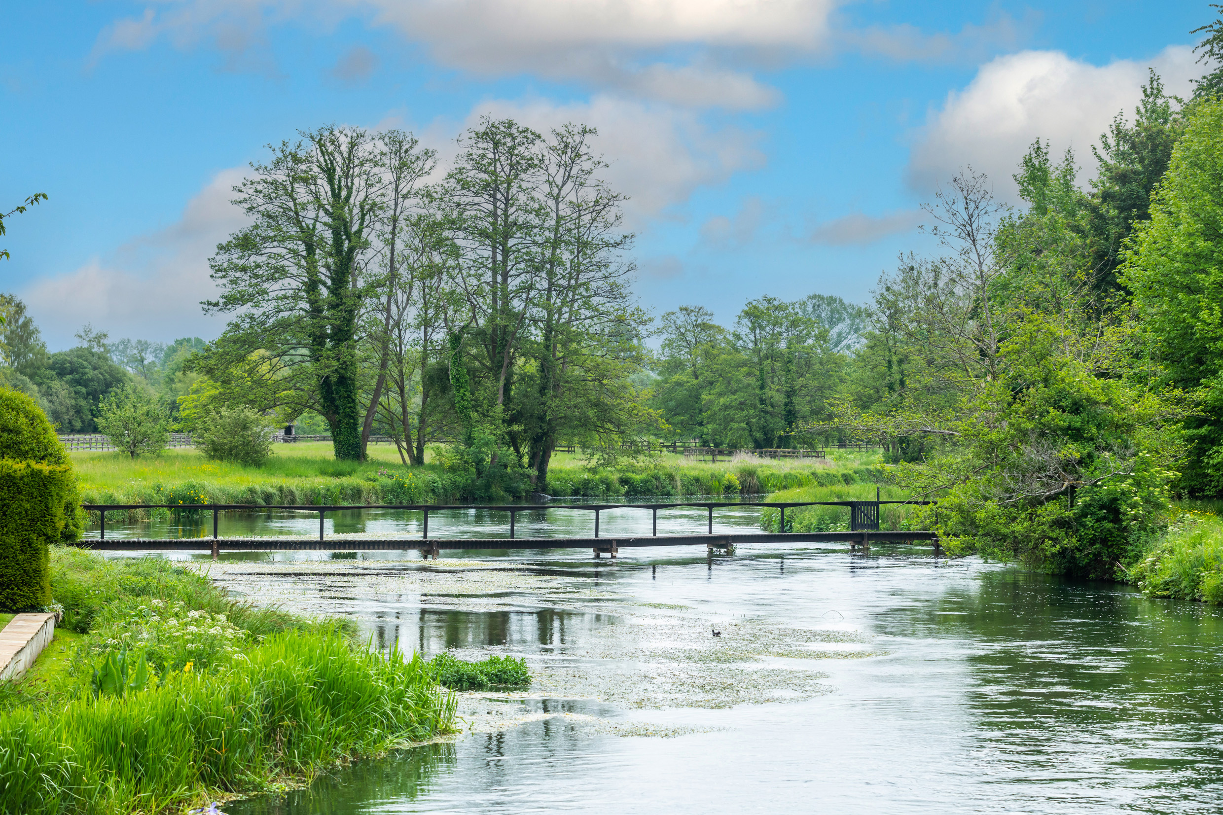 Photo of River Itchen